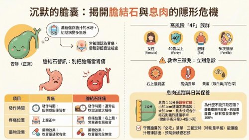 常常飯後右上腹痛、吃胃藥沒效嗎？ 這可能是「沉默器官」膽囊發出的警訊！