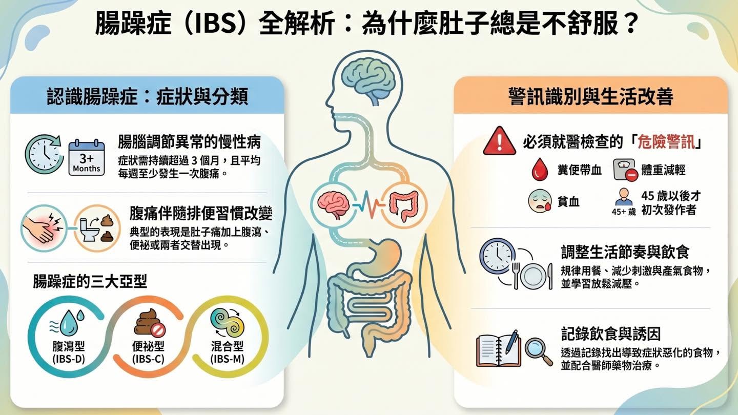 腸躁症是什麼？